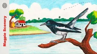 How to Draw a Magpie  | National bird scene Drawing Easy Step by Step | Draw step by step | Part 2