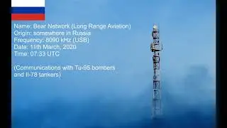 Bear Network (8090 kHz) on 11th March 2020