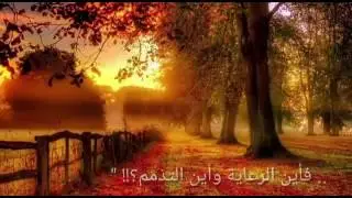 أوَ كل البيوت تبنى على الحب؟ - للشيخ محمد سعيد رسلان - حفظه الله تعالى-