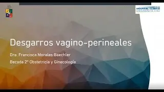 DESGARROS VAGINO-PERINEALES - DRA. FRANCISCA MORALES BAECHLER