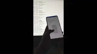 Pixel Experience Plus In-Display Fingerprint Debugging Realme X