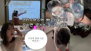 EP.6 [빠순로그] 크리스마스인데 빠순이들끼리 모임..입니다!(D-18)
