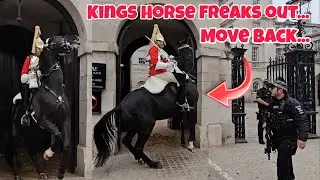 Huge Kings Horse Freaks Out - Guard Perfectly Controls Him and Police Quickly Responds! 