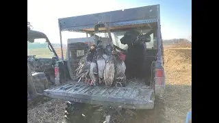 12/10/2021 Northwest Indiana Duck Hunting with Mallards, Gadwalls and Snow Geese.