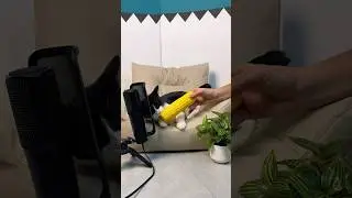ASMR from Milkis🥰 #asmr #shorts #cat #cats #kitten #animal #pets #meow #memes #funnycats