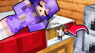 Mi sono INFILTRATO di NASCOSTO dentro la casa della FAN PAZZA su Minecraft!