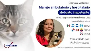 Manejo ambulatorio y hospitalario del gato inapetente &ndash; MVZ Esp. Tania Hern&aacute;ndez D&iacute;az