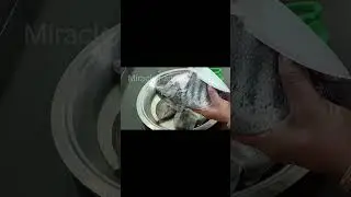 Easy to clean  Pearl Spot Fish (കരിമീൻ വളരെ എളുപ്പത്തിൽ ഇതുപോലെ  വൃത്തിയാക്കി  എടുക്കാം )