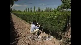 Vin&iacute;cola Alfredo Roca - Vineria&Cia