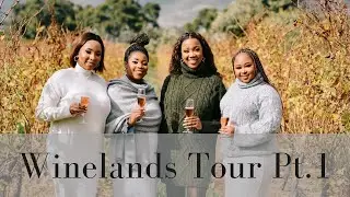 TRAVEL VLOG: WINELANDS TOUR PART 1 ✈️🍇 | Wineish