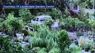 Officials ID Victim In Deadly Wilton Manors Crash