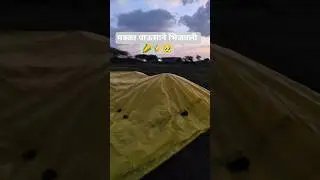 ​#Maize​#CornCrop​#FarmerLife​#Agriculture​#CropLoss​#HeavyRain​#WeatherDamage​#IndianAgriculture