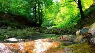10 Hour River Water Soundscape – Soft Flowing Water for Relaxation #asmr #asmrsounds #asmrvideo