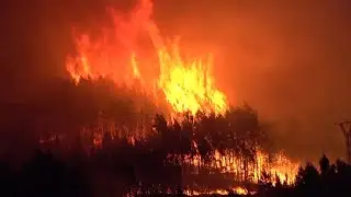 Feu de forêt en Espagne: au moins 550 personnes évacuées | AFP Images