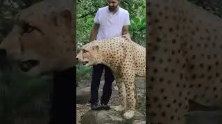 #mukadma #song@Mohit_7295