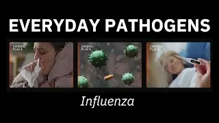 What is influenza, or the flu?