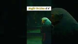 Eagle Vs Men Fight Scene | Peacemaker #dcseries #youtubeshorts