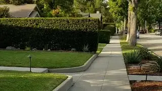 Original HALLOWEEN (1978) Hedge (40 years later)
