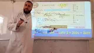 الموجز في التنفس و التخمر - الجزء 3 و الاخير