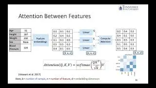 MS Thesis - Missing Value Imputation using Between-feature and Between-sample Attention