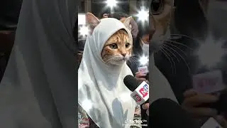 #Kes Cerai #kasar terhadap isteri