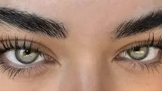 lash & brow serum