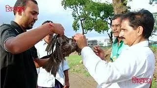 Wild-CER has been awarded by 'Jivhala'  foundation for its contribution in wildlife conservation.
