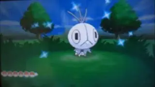 Shiny Scatterbug in Pokemon Y!!! My first shiny in years :D