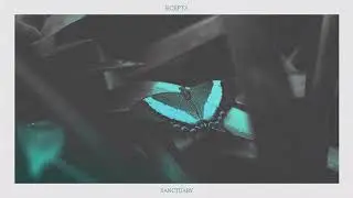 Ecepta - Sanctuary