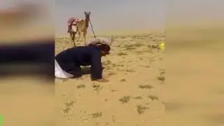 Best FAILS Funny Videos Funny Arabic Compilation 2017