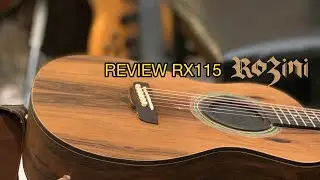 O MELHOR VIOL&Atilde;O MINI QUE JA TIVE! Review Rozini RX115