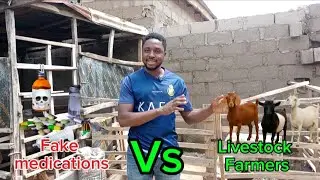 Fake medications vs livestock Farmers in Nigeria 