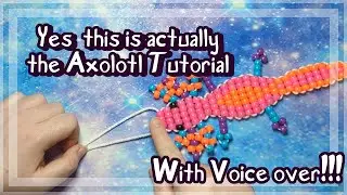 Yes. It is Here. The Axolotl Tutorial [Tutorial]