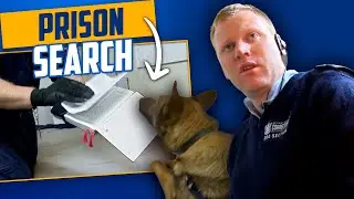 Sniffer Dog Detects Illegal Items In Prison