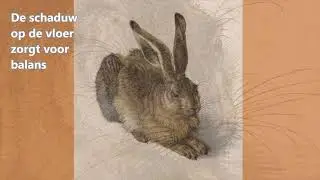 Dieren op Doek - Albrecht D&uuml;rer