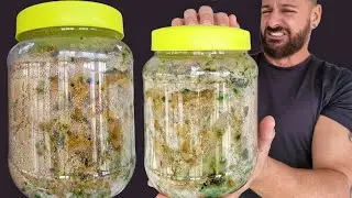 Abro un terrario que lleva 3 AÑOS cerrado 🤮 - Hormiguero casero de arena | El Mundo de las Hormigas