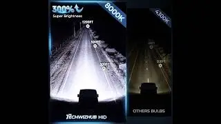 TechWizHub D5S HID Bulbs  &ndash; 8000K White Blue Xenon Upgrade