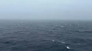 Heavy Rainfall high waves ASMR sleep sounds at see#storm#rain#rainsounds#waves#asmr#asmrsounds#sleep