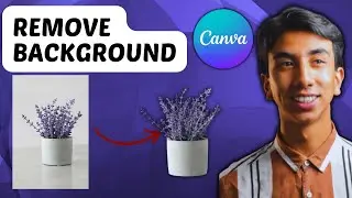 How to Remove Background in Canva For Free (2025)