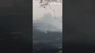 Punjab farmers burn stubble despite warnings