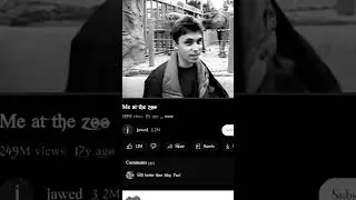 YouTube first video || #youtubefirstvideo #jawed #youtubeshorts #facts #factshorts  #shorts #new