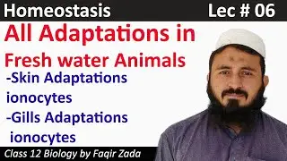 Adaptation characters of fresh water animals || Homeostasis || lecture 06 || chemistryring ||
