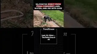 TrendStream Chinas DIY Genius Builds 3D Printed Robot