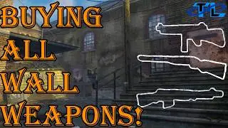 Я купил ВСЁ настенное оружие на Kino Der Toten!