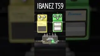 🎸 Boss SD-1 vs. Ibanez TS9 Tube Screamer: Tone Titans Clash! 🤘