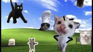ㅤ