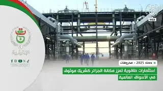 حصاد 2025 - محروقات | استثمارات طاقوية تعزز مكانة الجزائر كشريك موثوق في الأسواق العالمية