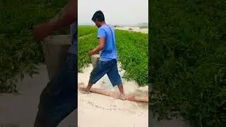 India farmer life kisan video poor people