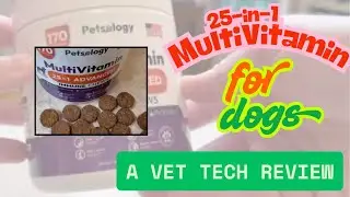 Petsology 15-in-1 Dog Multivitamin For Dogs 🐶 | Vet-Approved Supplement for Joint, Coat & Gut Health
