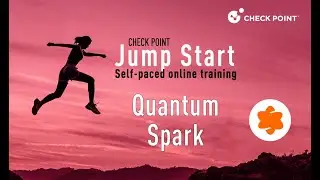 Check Point Jump Start: Quantum Spark – 14- Configure Interfaces